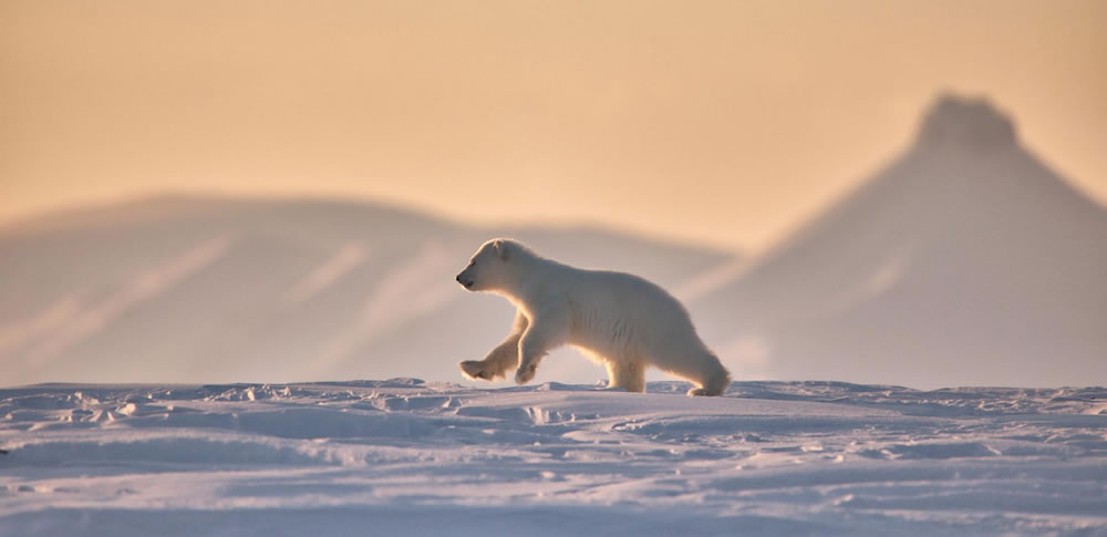 Nature Winners Of European Photography Awards 2023