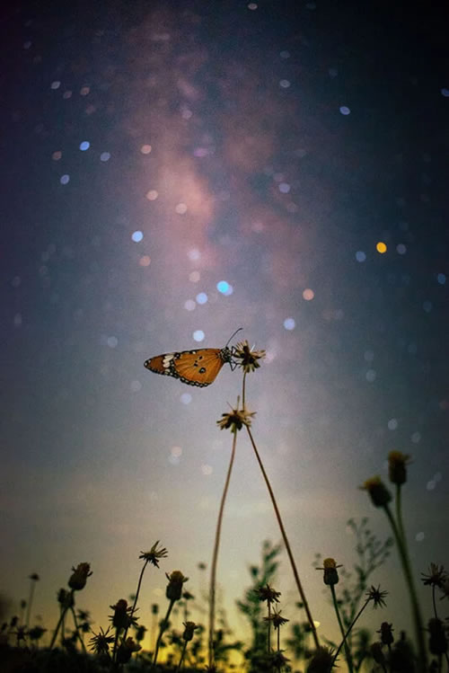 Indian Astrophotographer Of The Year 2023 Winners