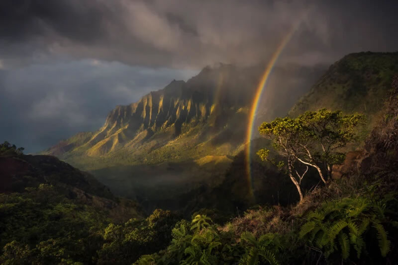 International Landscape Photographer of the Year Winner