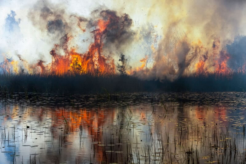 International Landscape Photographer of the Year Winner