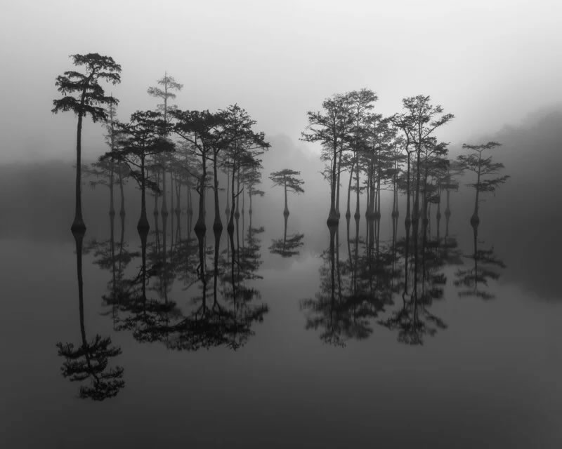 International Landscape Photographer of the Year Winner