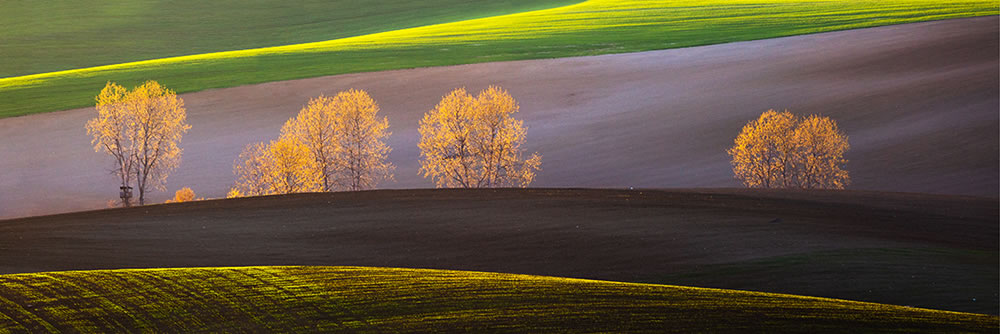 The Fine Art Photography Awards Landscape Winners