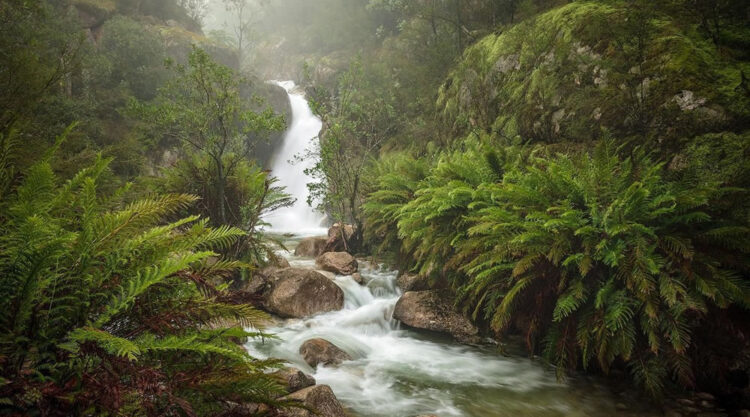 Stunning Landscapes Of Australia by Mieke Boynton