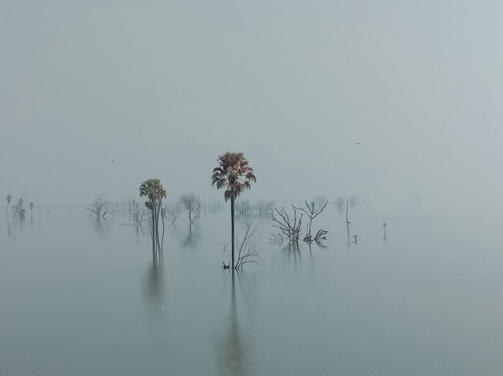 Landscape Winners Of Sony World Photography Awards