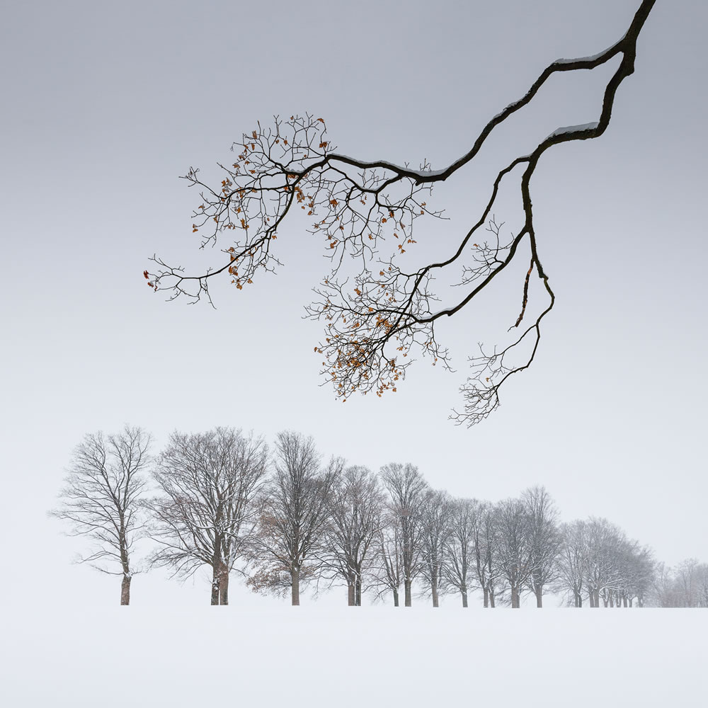 Landscape Winners Of Sony World Photography Awards