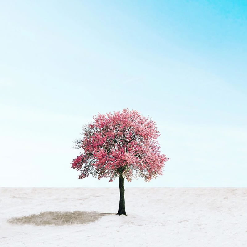 Minimalist Photography Sejkko