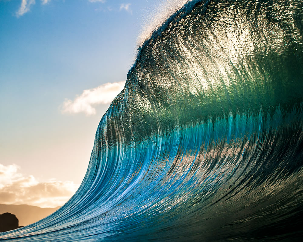 Ocean and Nature Winning Photos From The NBP Awards