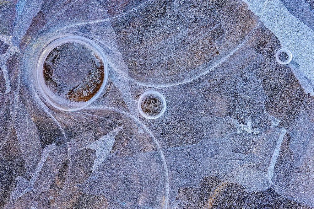 Ocean and Nature Winning Photos From The NBP Awards