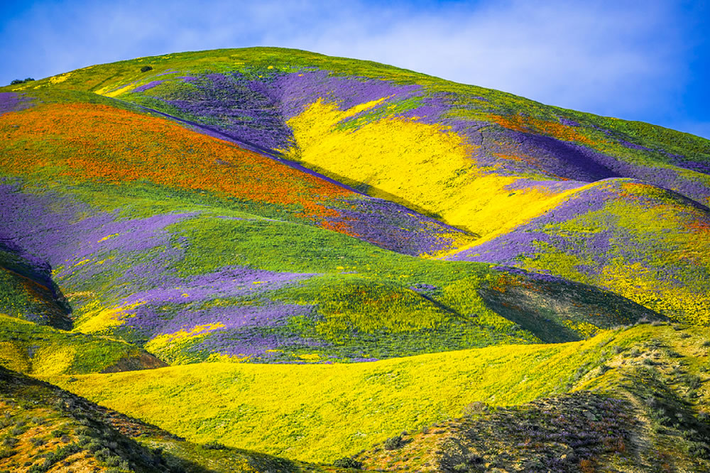 Ocean and Nature Winning Photos From The NBP Awards