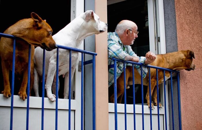 Hilarious Street Photos With Perfect Timing By Julie Hrudova