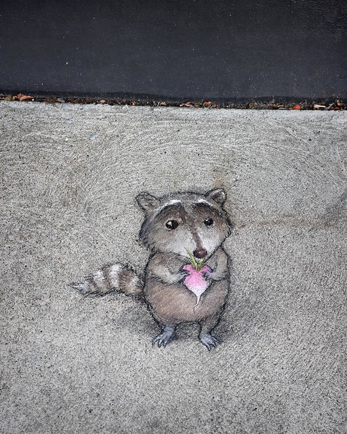 Chalk Street Art by David Zinn