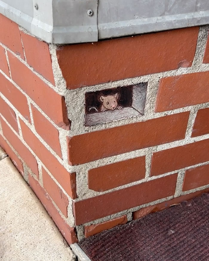 Chalk Street Art by David Zinn