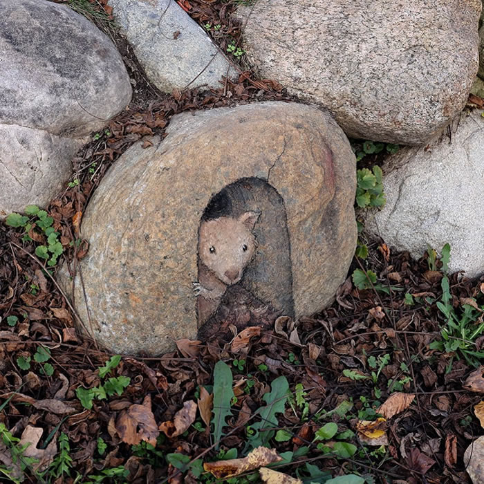 Chalk Street Art by David Zinn