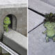 Street Art by David Zinn