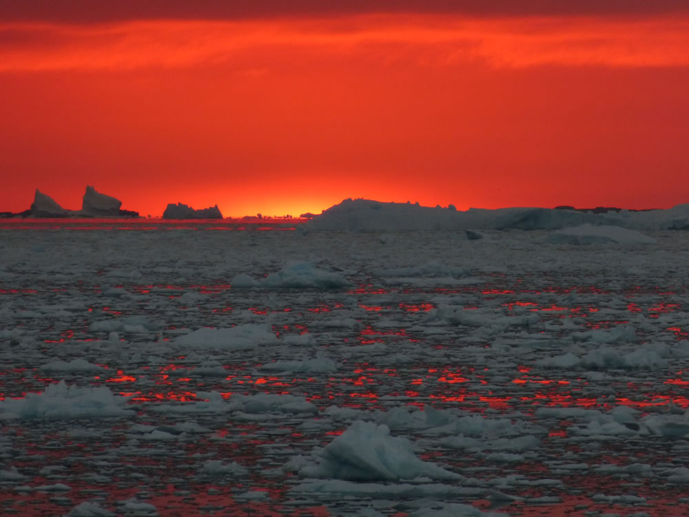 The Royal Society Photography Competition Winners