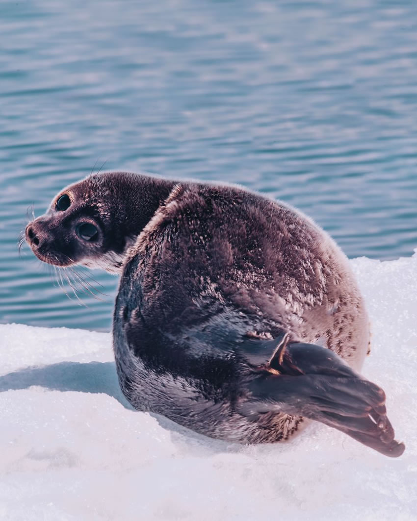 Baikal Lake Photography by Kristina Makeeva