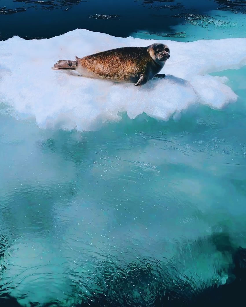 Baikal Lake Photography by Kristina Makeeva