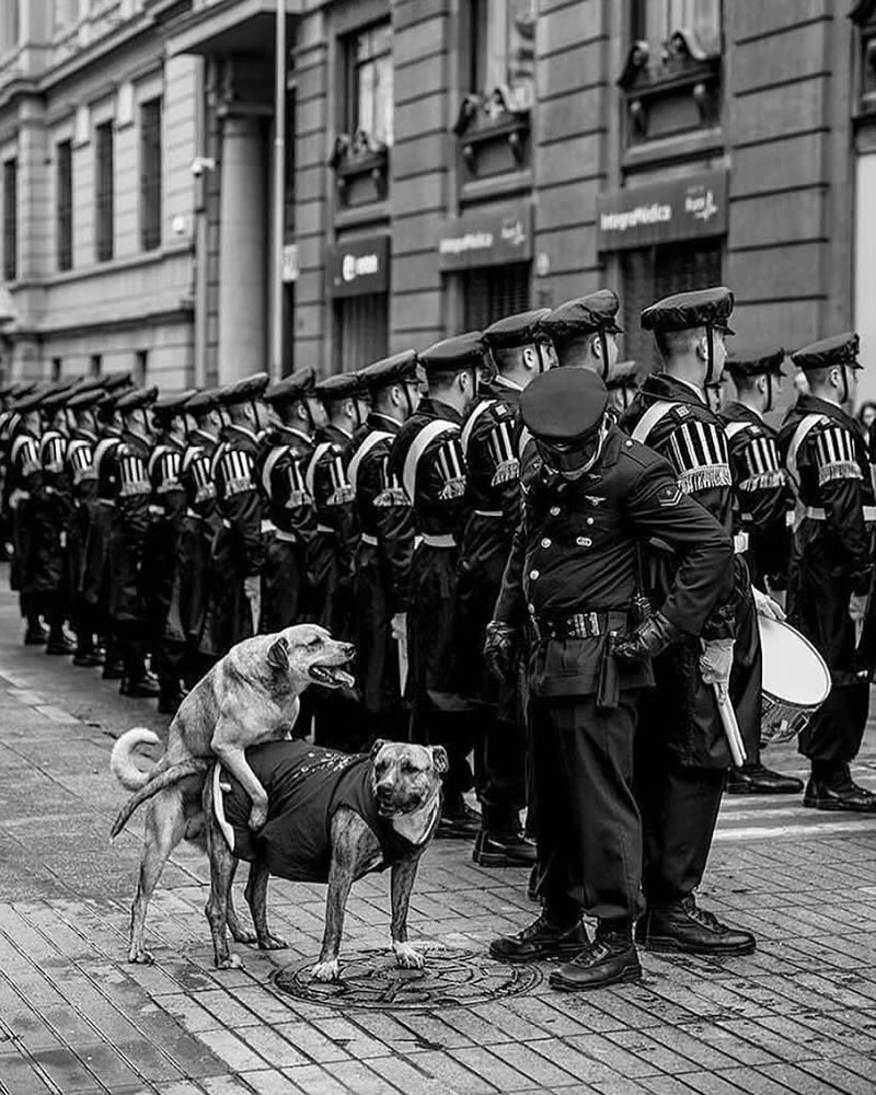 Black and Wihte Street Photography