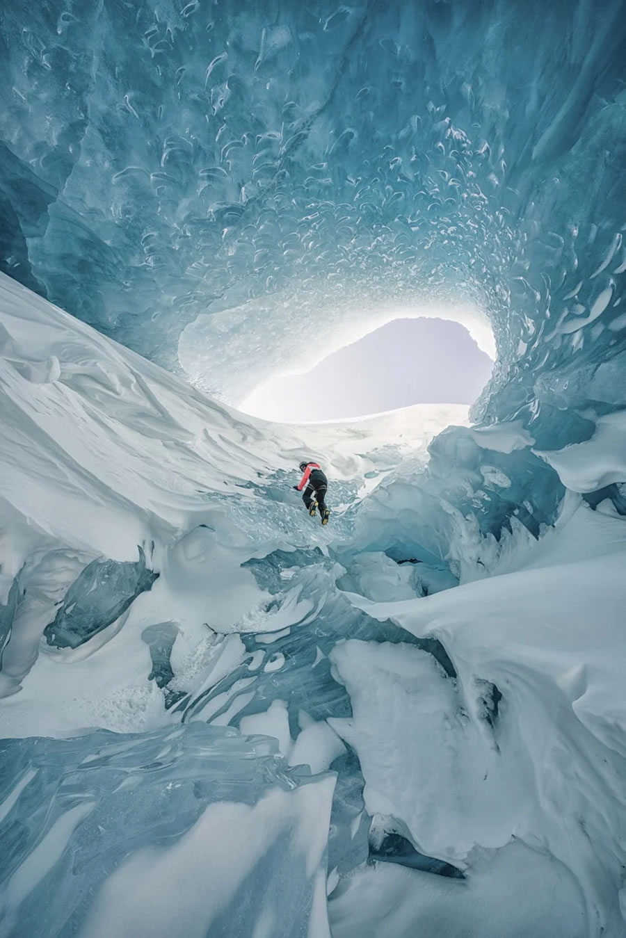 Canadian Photos Of The Year Competition