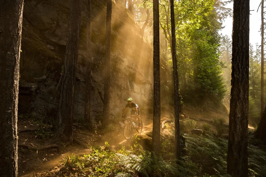 Canadian Photos Of The Year Competition