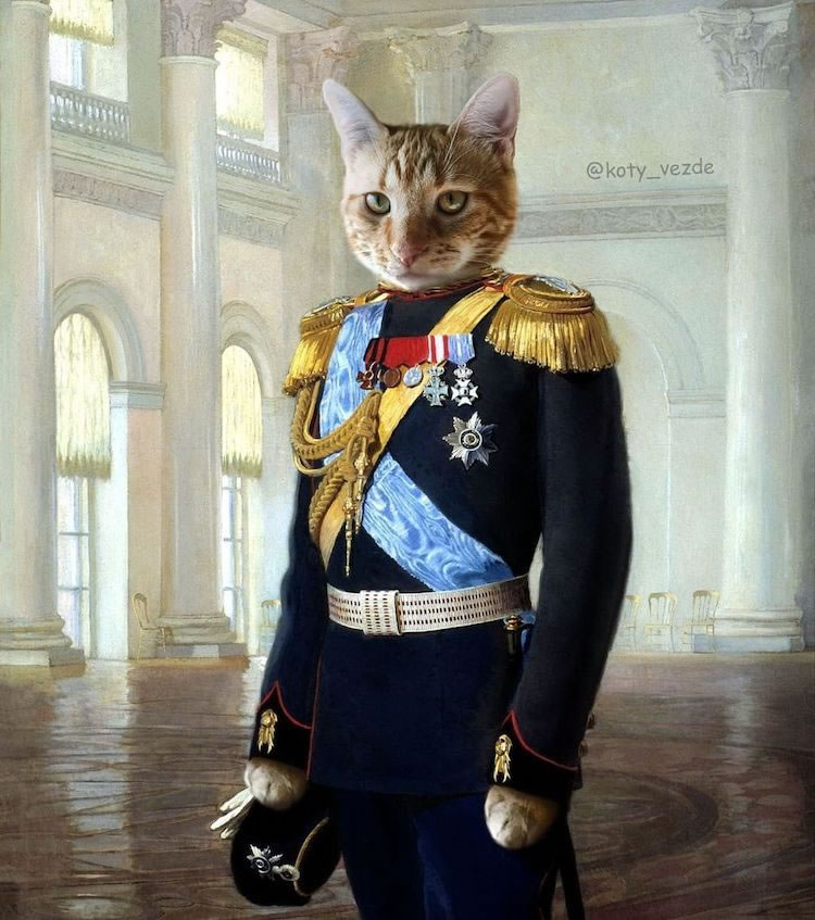 Cats Royalty Traditional Portraits By Galina Bugaevskaya