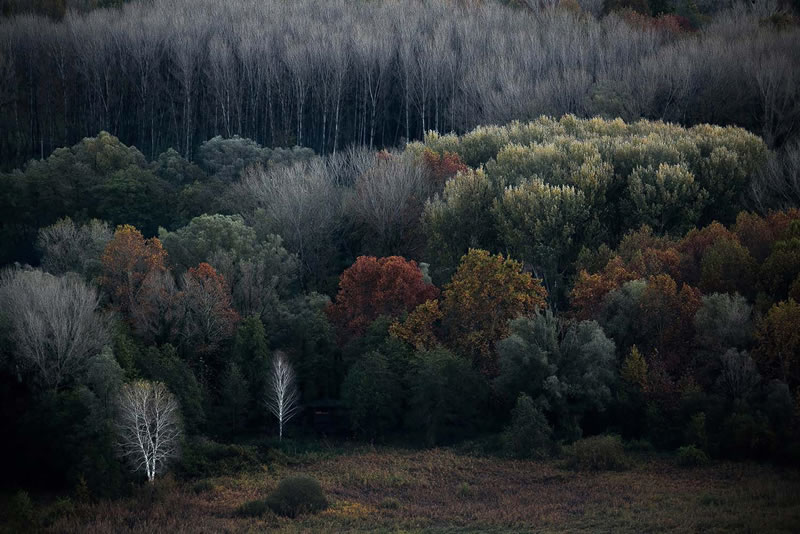 European Wildlife Photographer Of The Year Winners