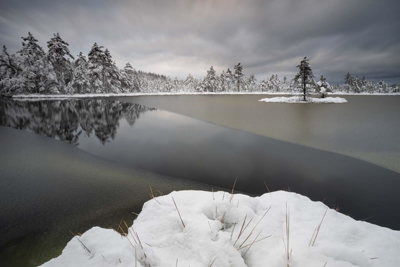 European Wildlife Photographer Of The Year Winners