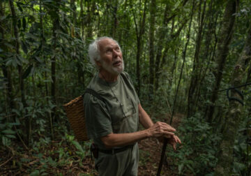 Forest Growers by Renato Stockler