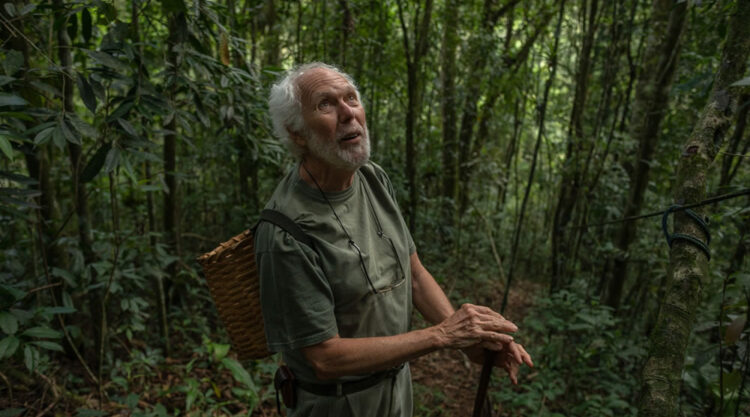 Forest Growers by Renato Stockler