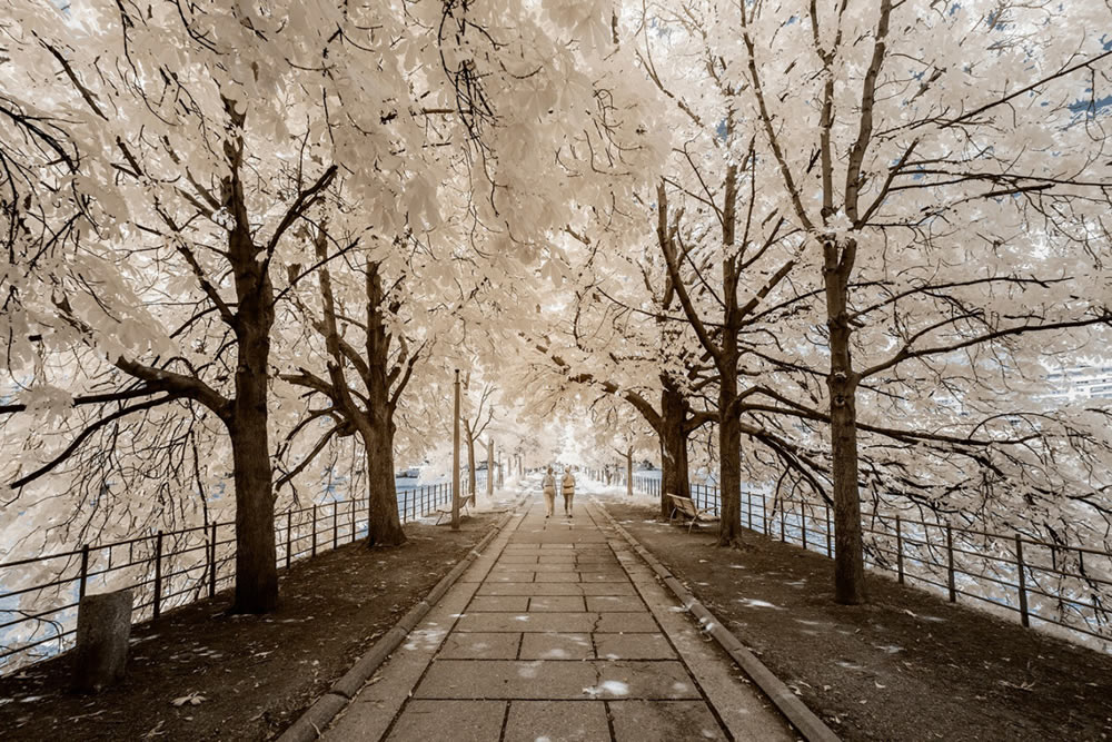 Infrared Photography Of Paris By Pierre-Louis Ferrer