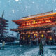 Tokyo Covered by Heavy Snow