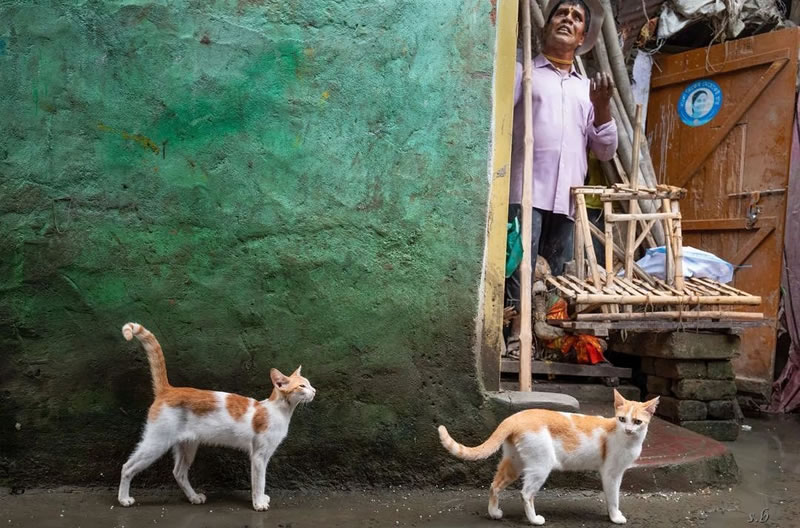 Kolkata Street Photography