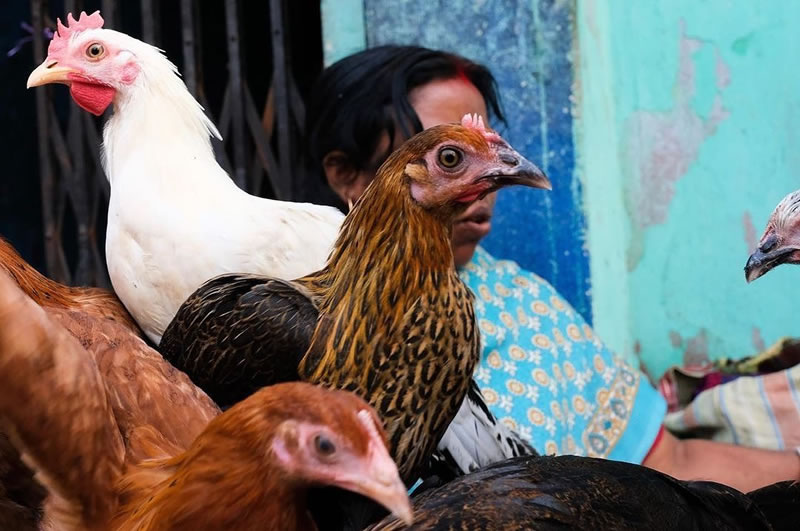 Kolkata Street Photography