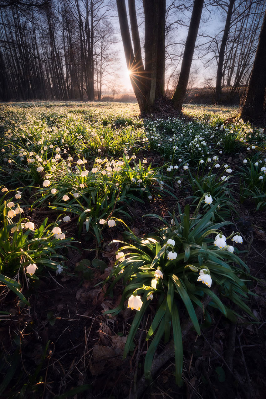 Landscape Photography by Oliver Benes