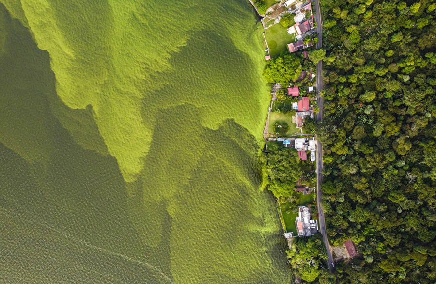 Nature Drone Fine Art Photography Awards