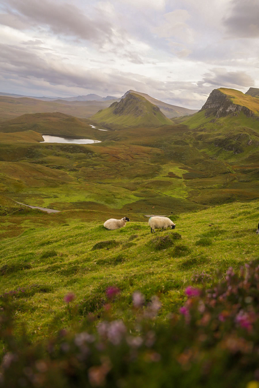 IPA Nature And Landscape Winning Photos