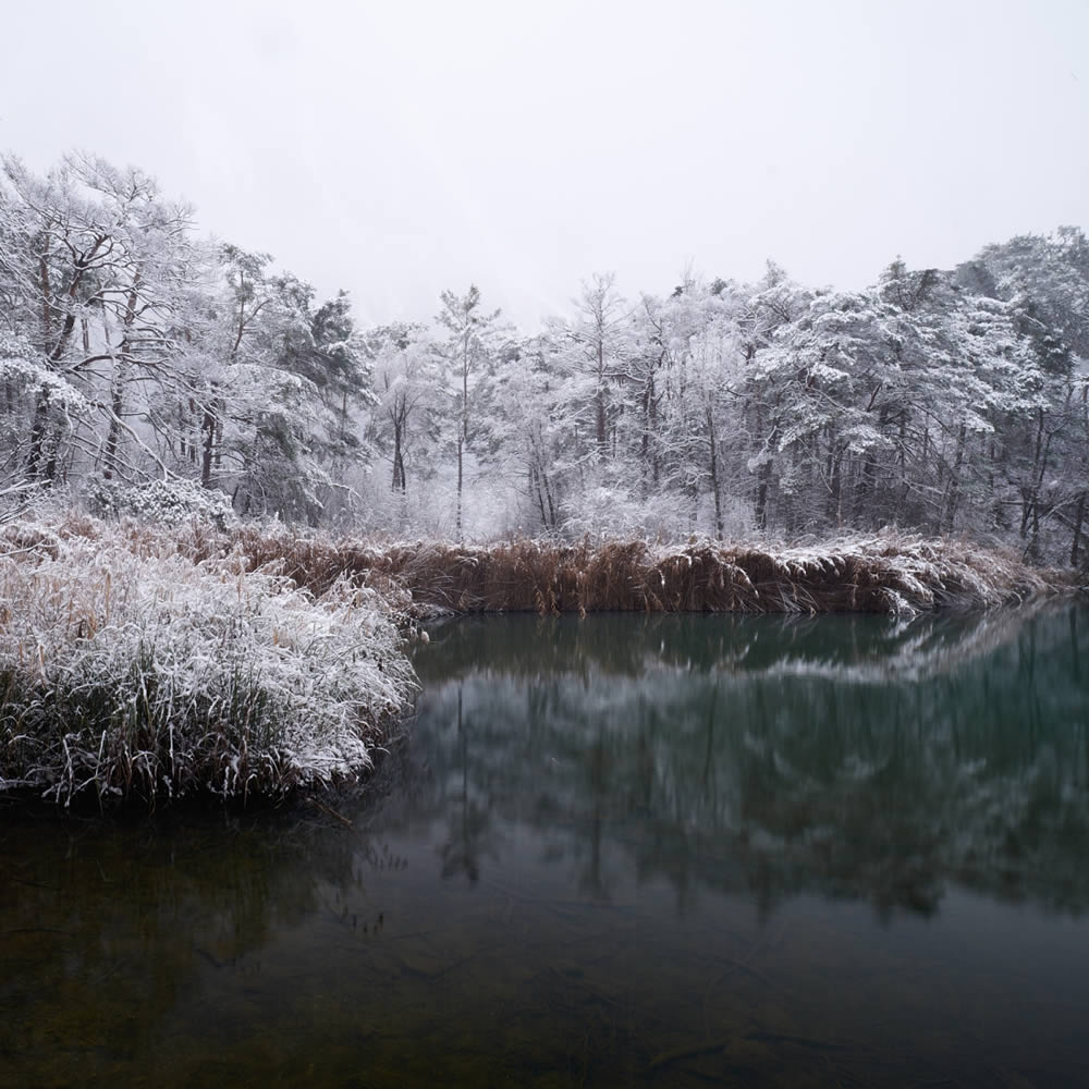 Nature Fine Art Photography Awards