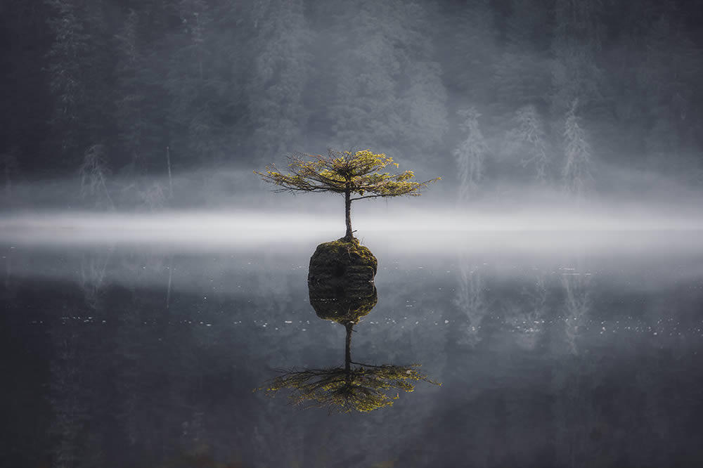 Nature Fine Art Photography Awards