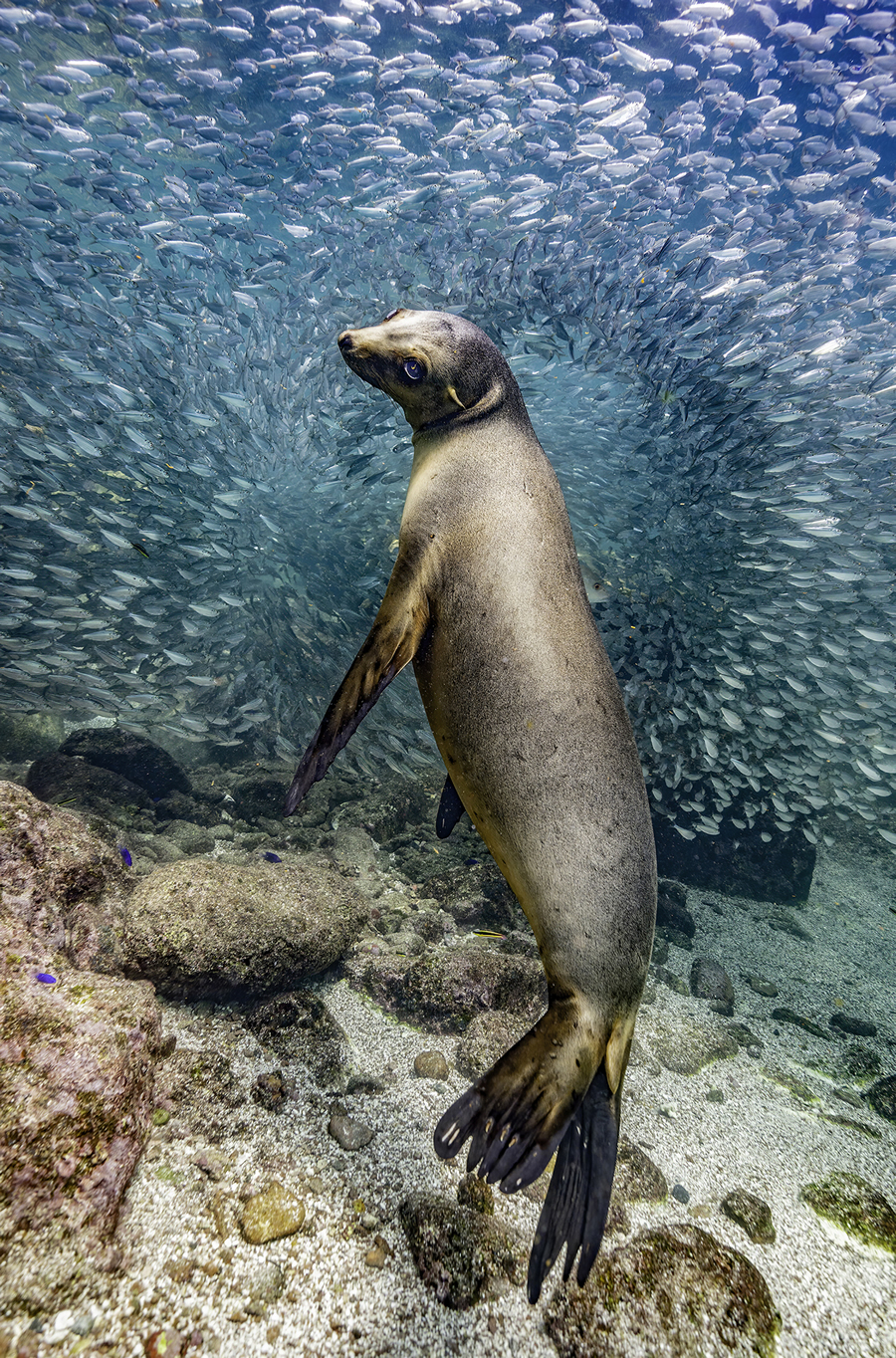 The Nature Photography Contest Winners