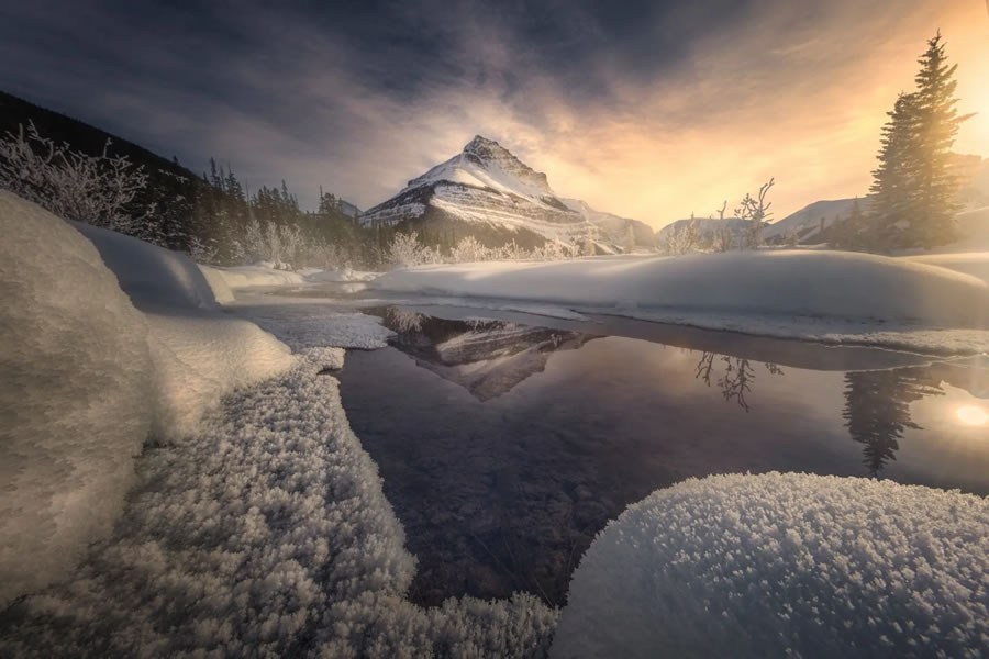 The Nature Photography Contest Winners