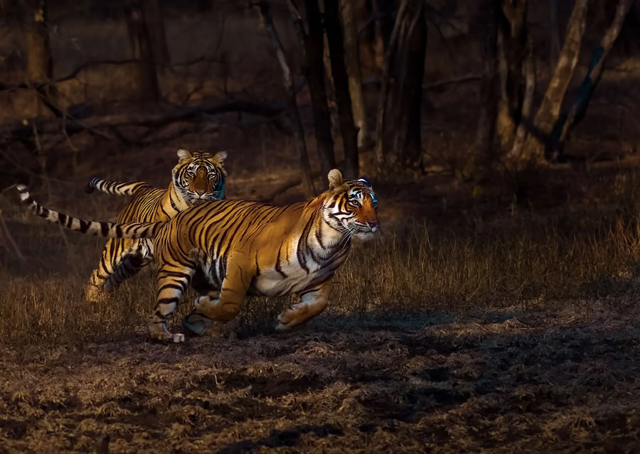 The Nature Photography Contest Winners