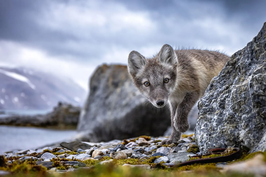 The Nature Photography Contest Winners