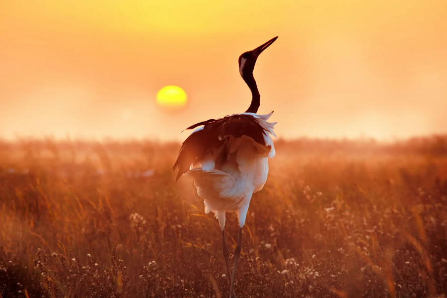 The Nature Photography Contest Winners