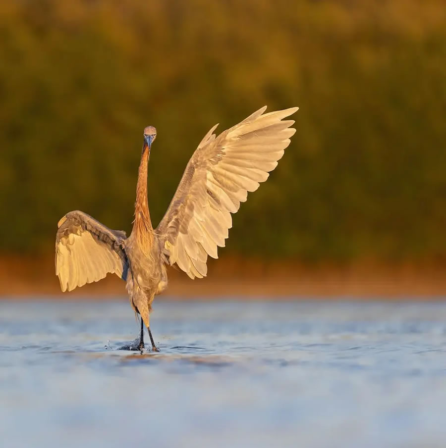 The Nature Photography Contest Winners