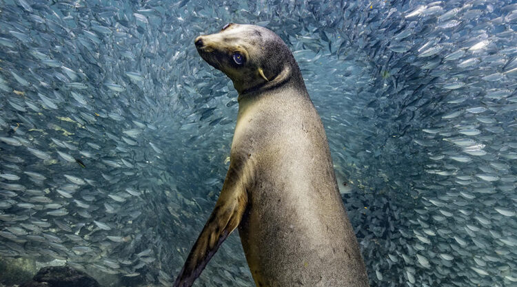 The Nature Photography Contest Winners