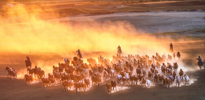 Nature And Travel Photography Winners