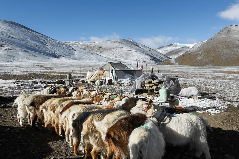 Nature And Travel Photography Winners