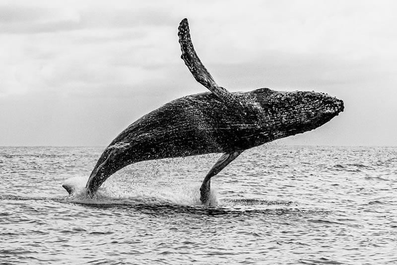 Nature And Travel Photography Winners