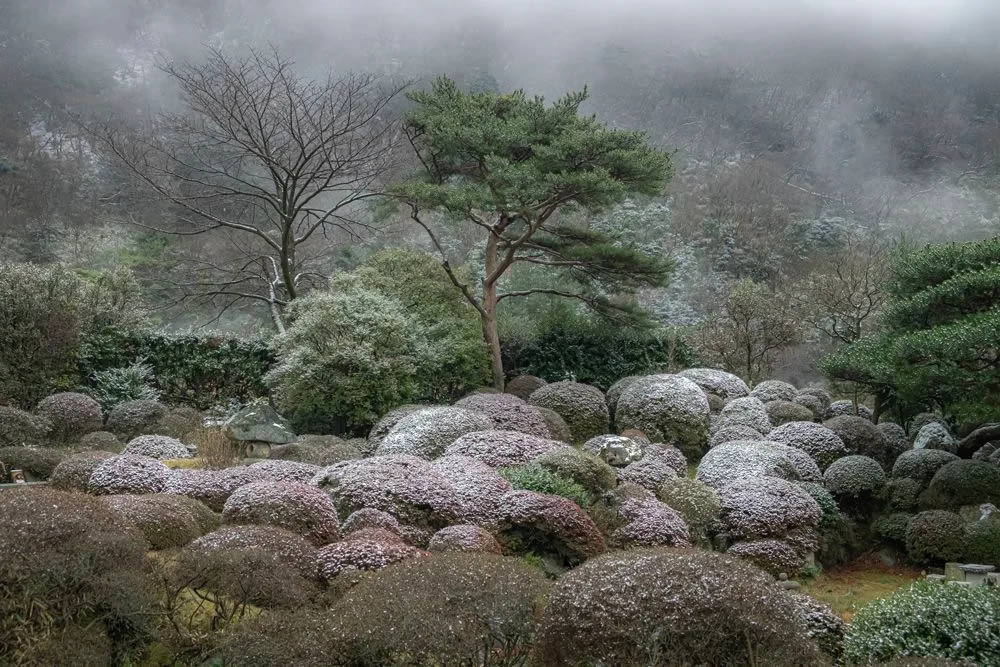 Travel Photographer Of The Year Awards