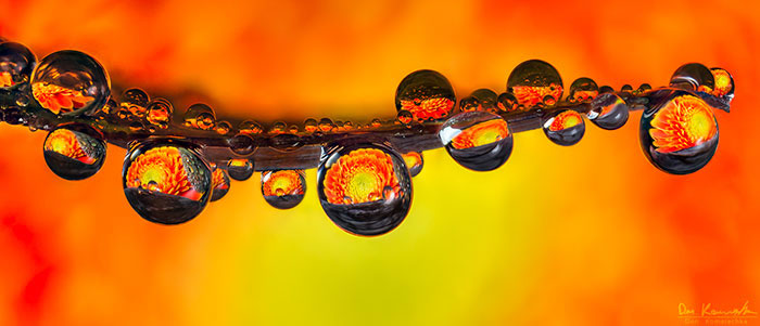 Water Droplet Photos By Don Komarechka